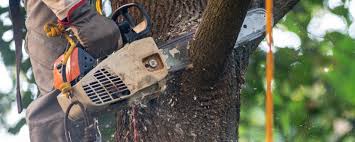 Lawn Watering Services in West Haverstraw, NY